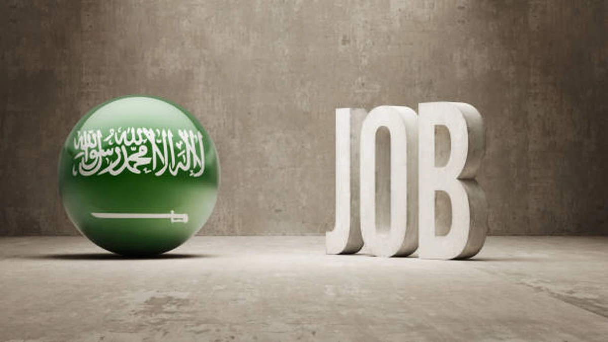 Tax Authority Jobs in Saudi Arabia A Complete Guide to ZATCA Careers